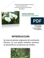 Exposicion Cartucho 2