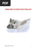 Fisa de Examinare Pisica  PDF