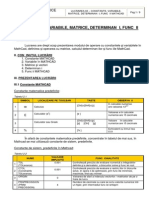 Lucrarea 02 - Constante Variabile Matrice Determinanti Functii MathCad