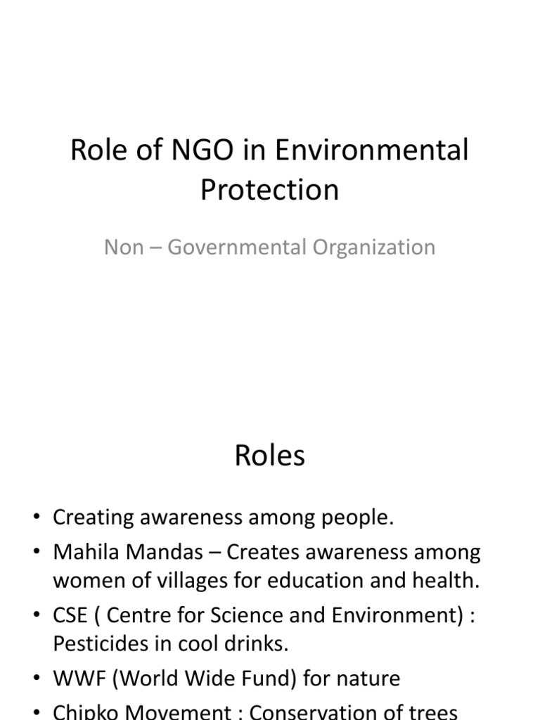 Role Of Non Governmental Organization PDF