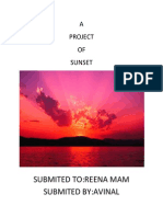 Submited To:Reena Mam Submited By:Avinal: A Project OF Sunset