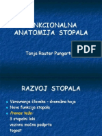 Funkcionalna Anatomija Stopala