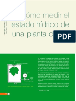 Cómo Medir El Estado Hidrico de Una Planta de Vid