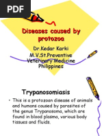 Download Diseases caused by protozoa by kedar karki SN16769222 doc pdf