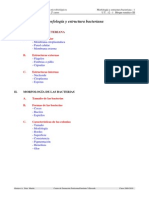morfologia-y-estructura-bacteriana.pdf