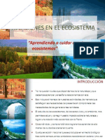 Ecologia Relaciones en El Ecosistema