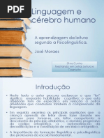 Linguagem e cérebro humano - x