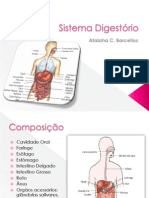 Apresentação Sistema Digestório - Aula Principal