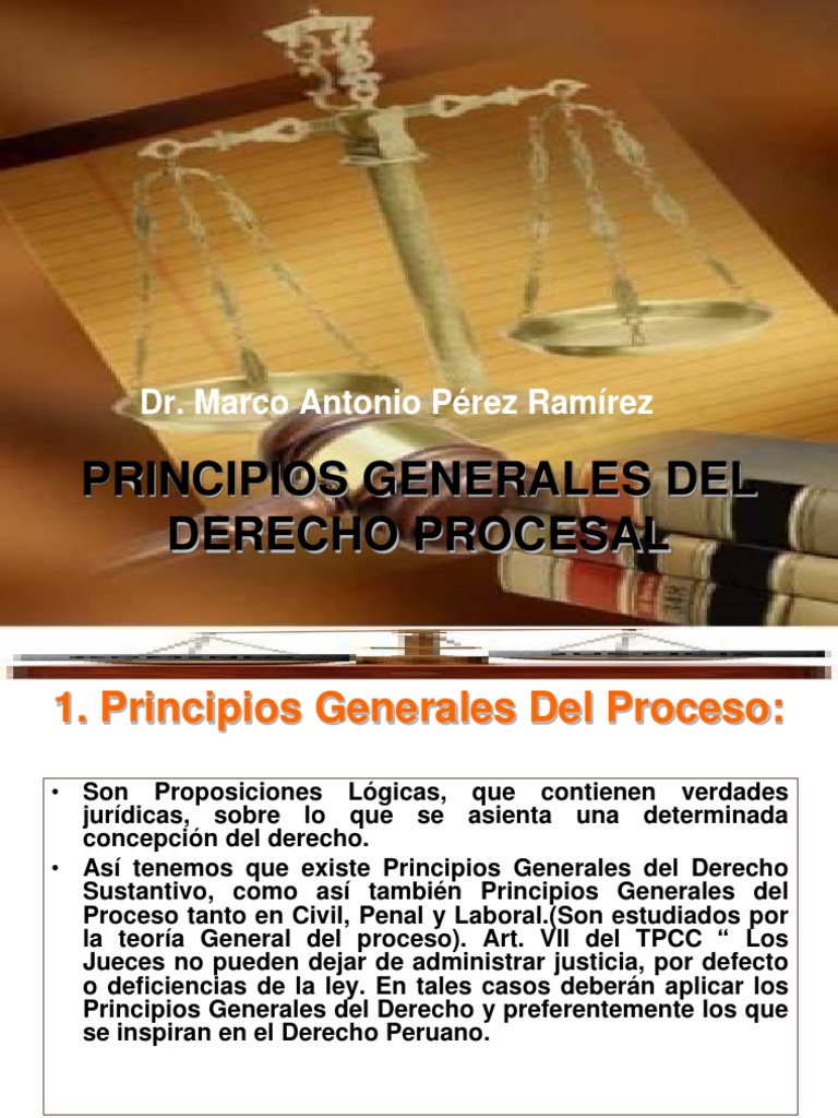 Principios Generales Del Derecho Procesal en General