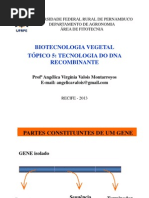 Tecnologia Do DNA Recombinante