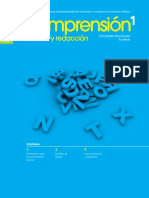 Comprension PDF