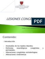 9._04_09_Lesiones_Congenitas