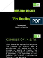 Combustion in Situ