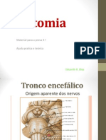 Anatomia PROVA 3