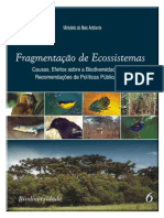 Fragmentação de ecossistemas