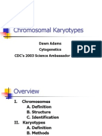 Chromosomal Karyotypes