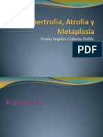 Hipertrofia, Atrofia y Metaplasia