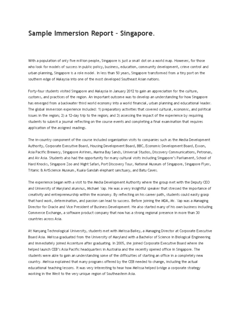 sample-immersion-report-singapore-business