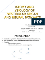 Anatomy and Physiology of Vestibular Organ and Neural