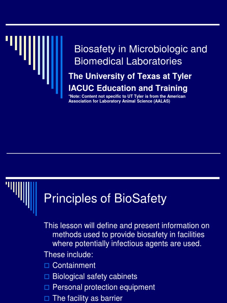 Lab Safety 2 | PDF