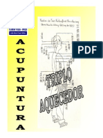 Triploaquecedor PDF