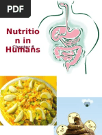 Download Pure Biology Chp 6 Nutrition in Humans by hamsterish SN16804014 doc pdf