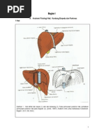 Download ASKEP SISTEM METABOLIK  PANKREAS by Connie Fahyuna Daimboa SN16804435 doc pdf