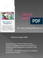 saludambientalyprogrmadesaneamientoambiental-090615115022-phpapp01