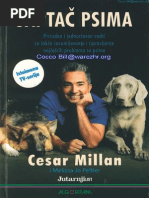 Cesar Millan Saptac Psima