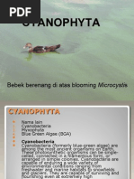 Download cyano 3 by Fadhli SN16805883 doc pdf