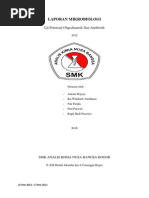 Download MIKROBIOLOGI Antibiotik Dan Oligodinami by ragil_hadi SN168074811 doc pdf