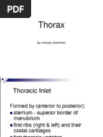 Thorax