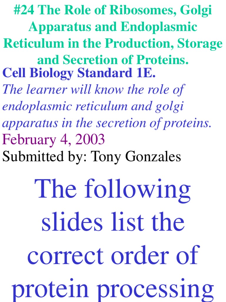 Cell Biology Standard 1E | PDF | Endoplasmic Reticulum | Ribosome