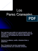 Parescraneales 120925195627 Phpapp02