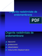 LP 8 - Org Nedelimitate