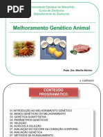 Aula Melhoramento