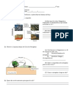 solo_revisão.pdf