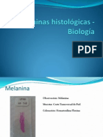 Láminas Histológicas - Biología - Franz