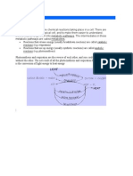 Lecture 1 Respiration and Photosynthesis Version 1