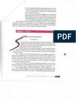 Descrição e Textos Descritivos 4 PDF