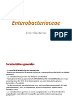 2.- Enterobacterias
