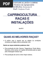 RAÇAS CAPRINAS.pptx