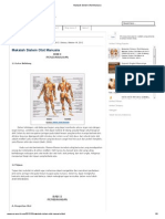 Download Makalah Sistem Otot Manusia by Adam Bima SN168270769 doc pdf