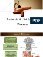 95006195 Anatomia Fisiologia Del Pancreas