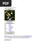 Download Assignment Ikan Koi by azilawati77 SN168275772 doc pdf