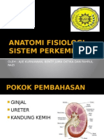 Anatomi Fisiologi Perkemihan