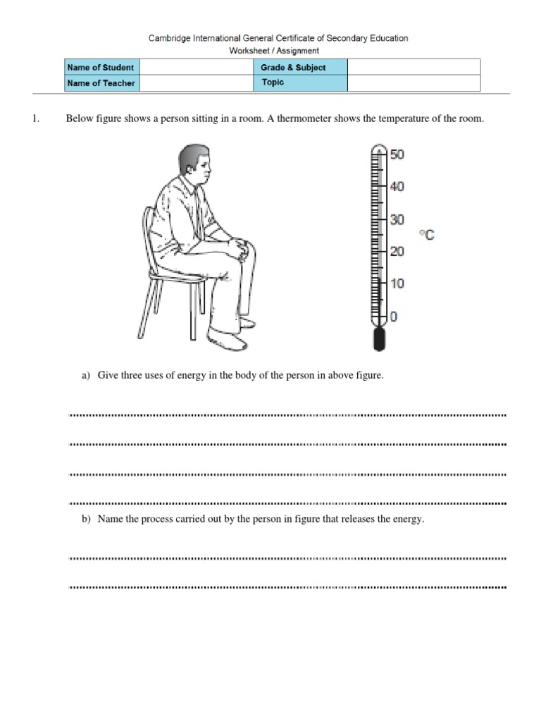 Worksheet - Respiration | Cellular Respiration | Fermentation