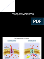 Energetika Dan Metabolisme