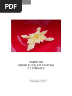 Manual - Carving - Nivel I