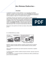 Questões Sobre Sistema Endocrino